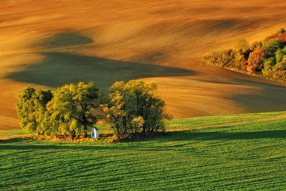 Moravian Fields...
