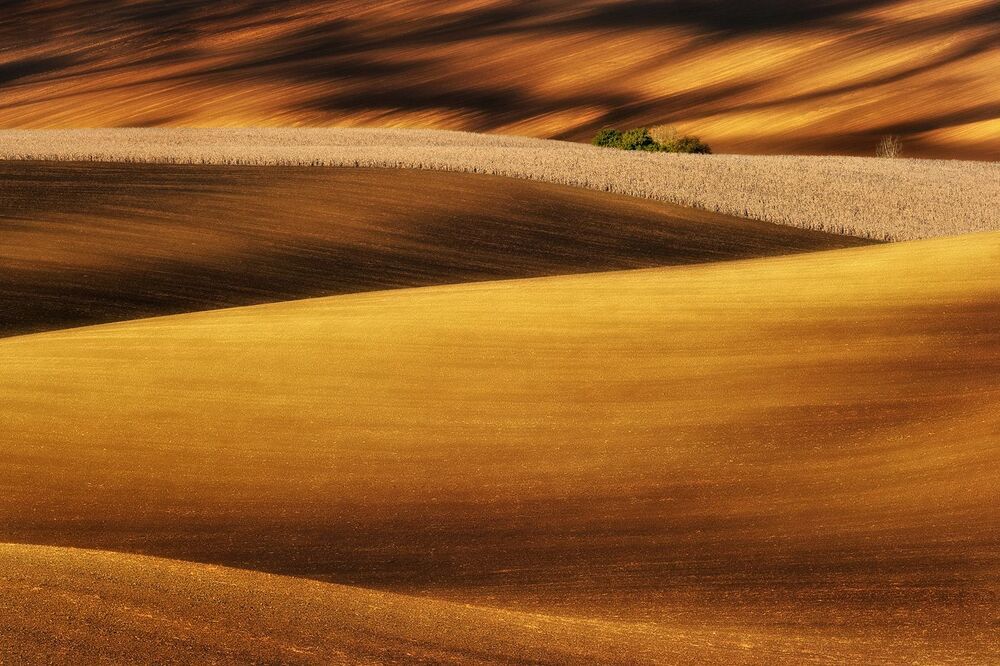 Moravian Fields...