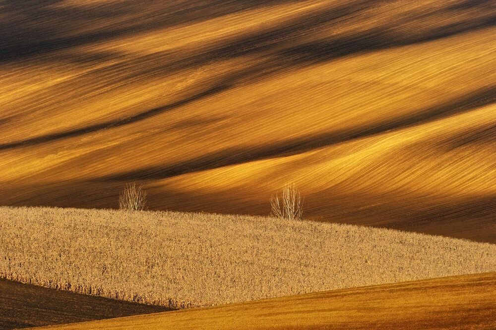 Moravian Fields...