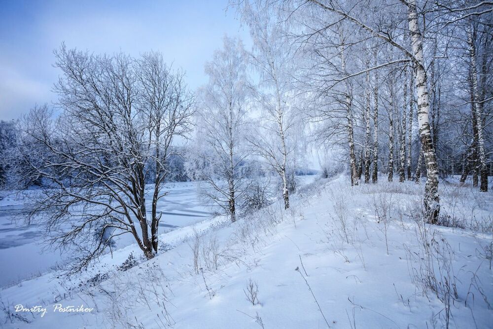 Ванильно-кремовый декабрь.