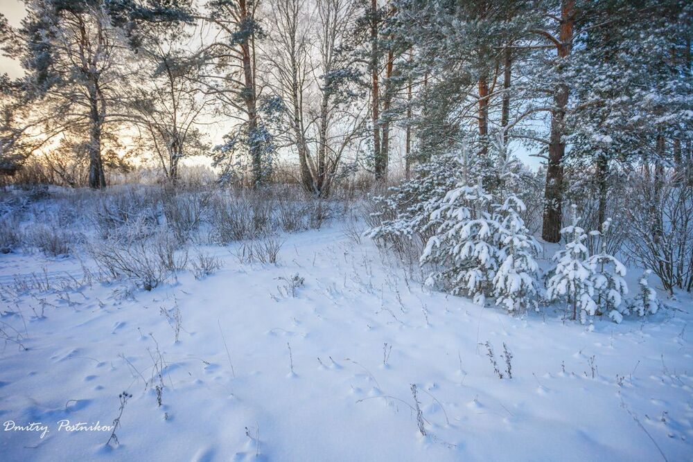 Ванильно-кремовый декабрь.