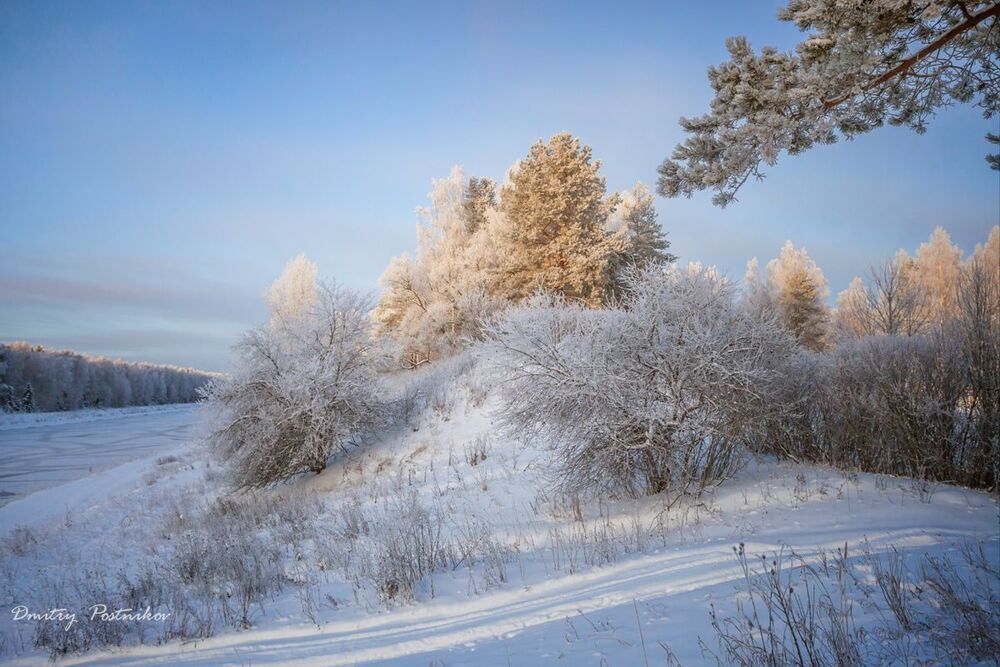 Ванильно-кремовый декабрь.