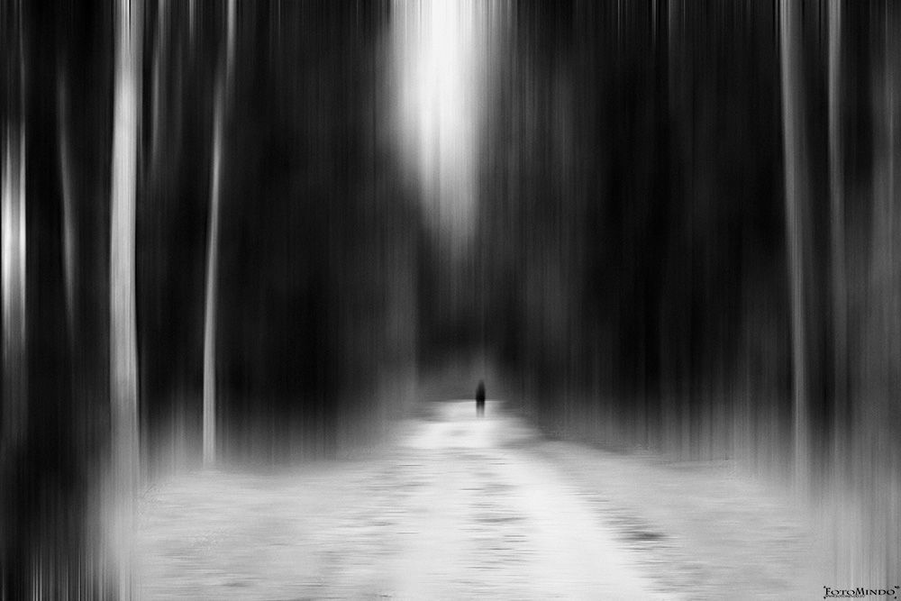 The Way