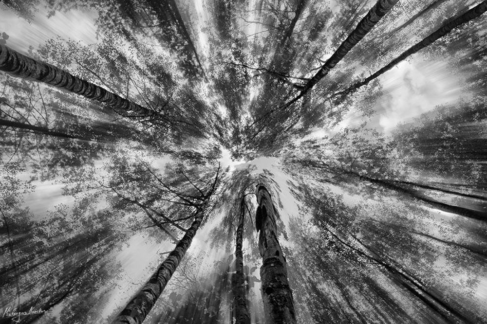 When Nature Calls