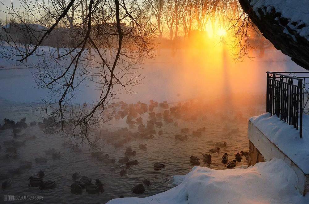 Рождественская сказка