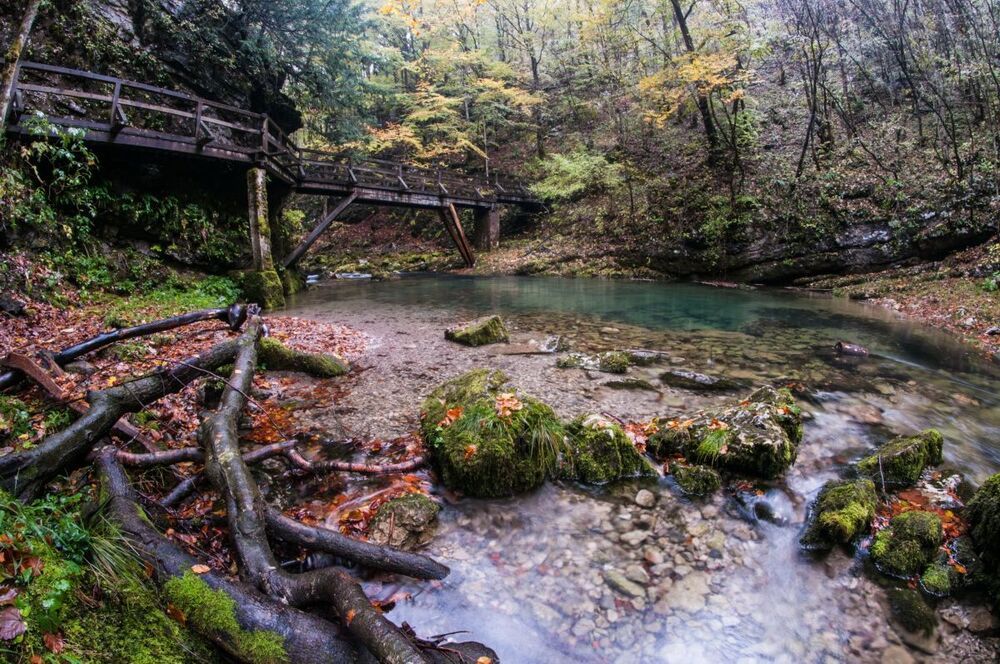 kamačnik