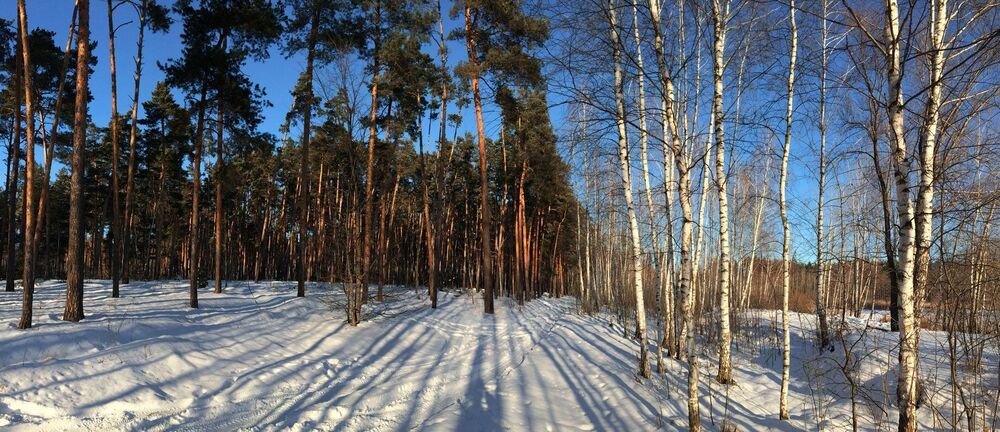 Прогулка к реке