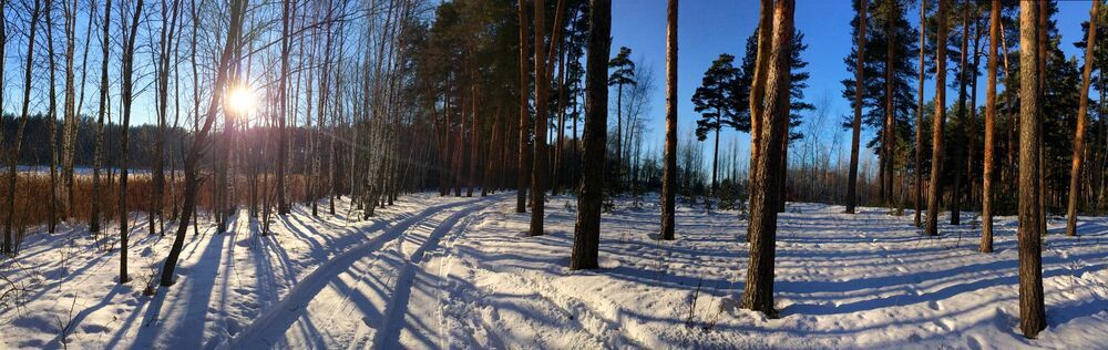 Прогулка к реке