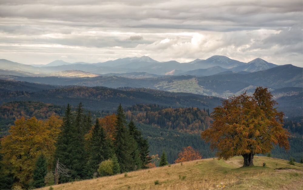 Карпатские зарисовки