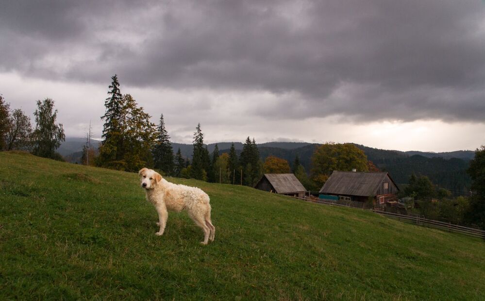 Карпатские зарисовки