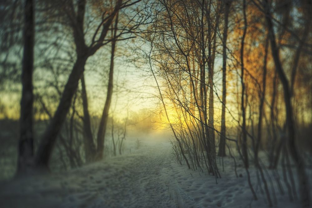 Winter Story