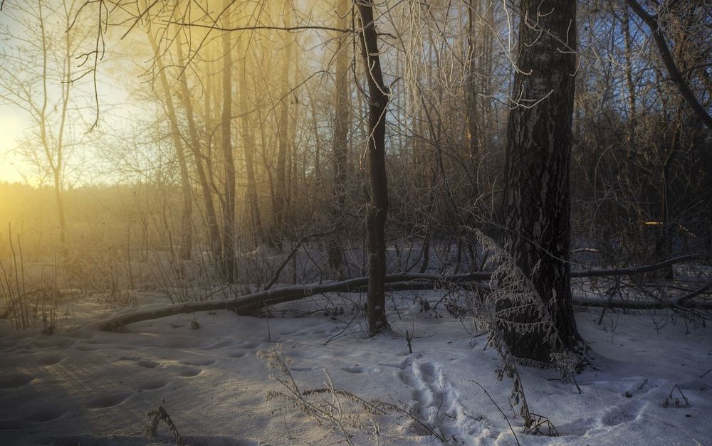 Winter Story
