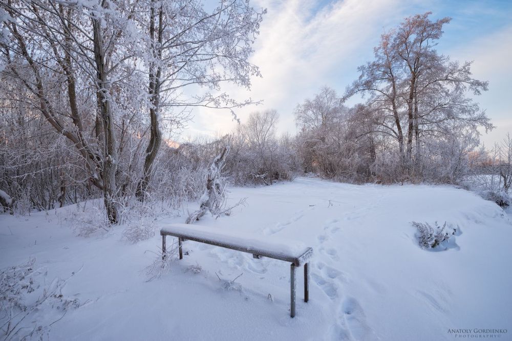 Два морозных утра