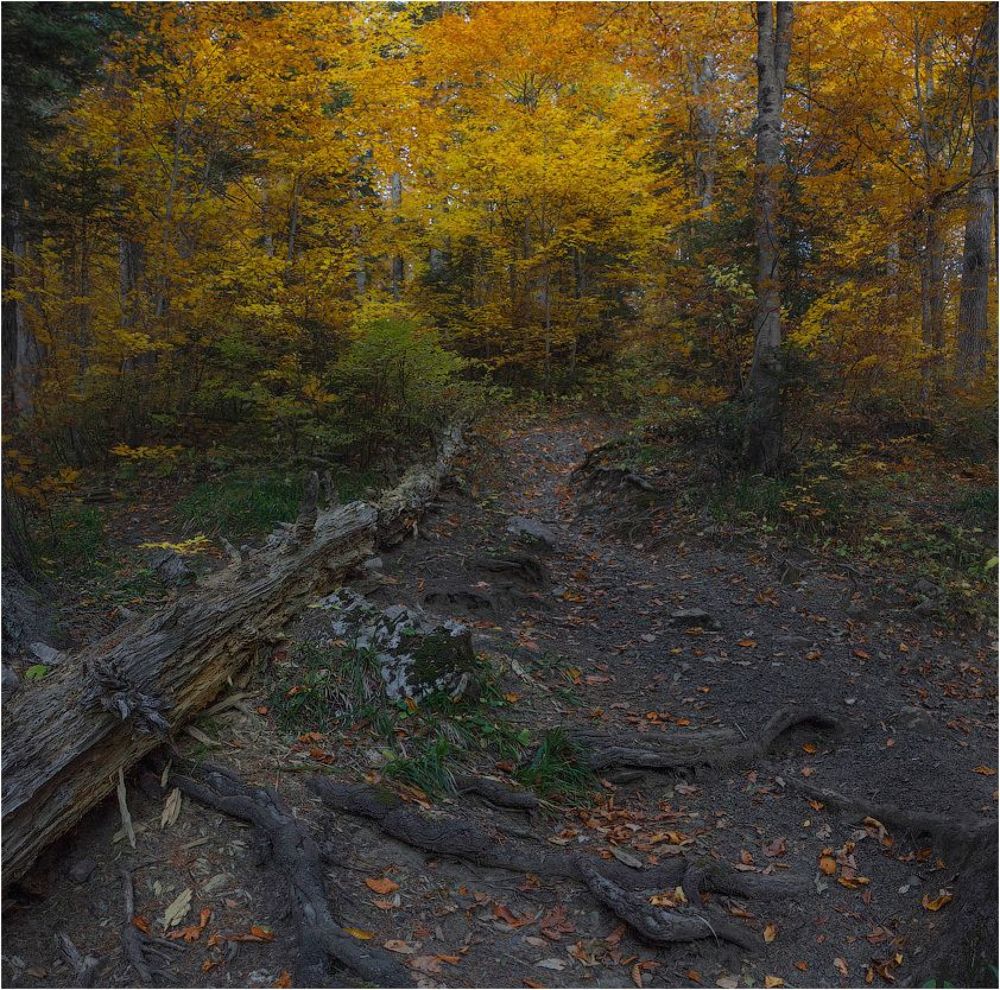 Осень в Адыгее 2