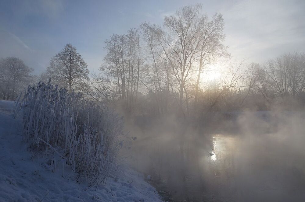 На Пехорке