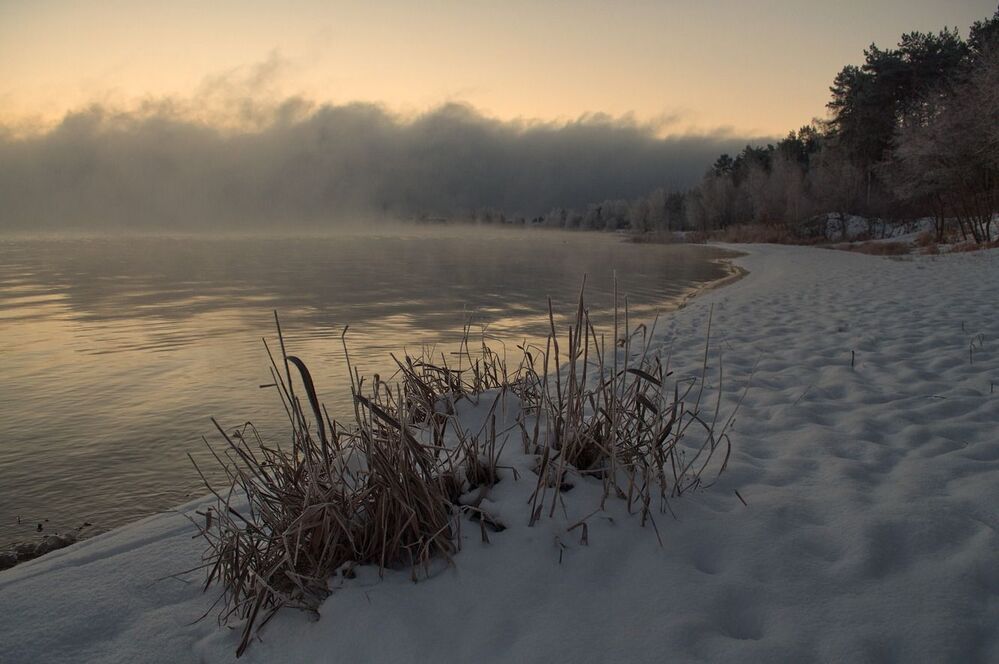 Photo 645041