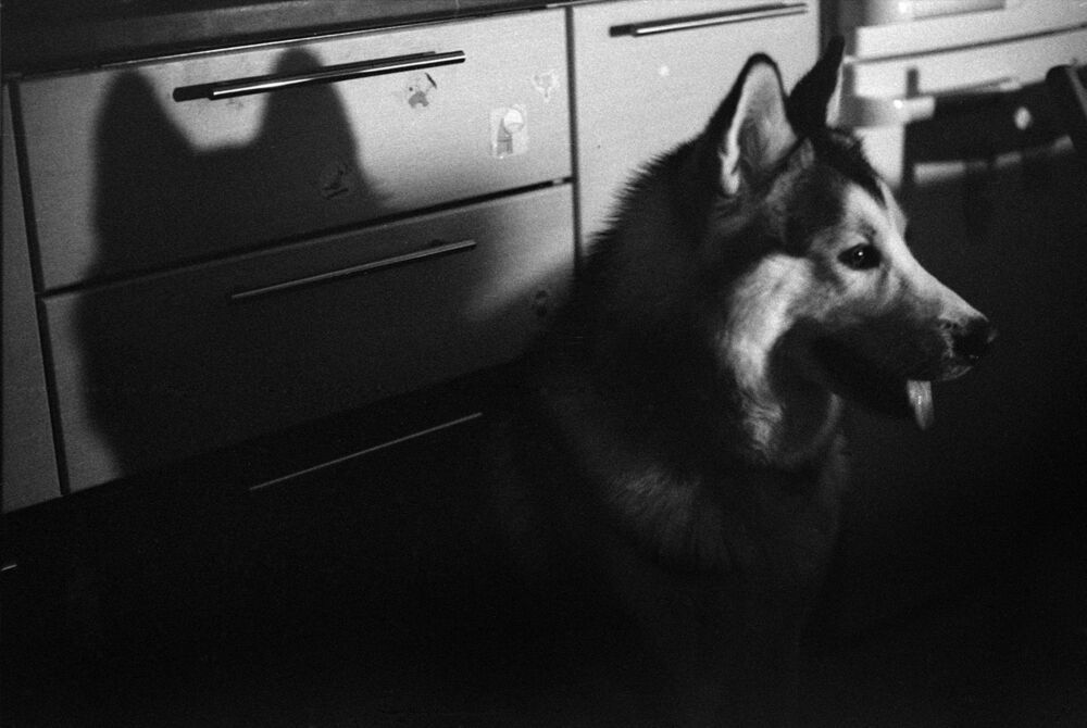 Bessa T + Voigtl&auml;nder Nokton 1.5/50 + Voigtl&auml;nder Kontur Finder, Fomapan 400