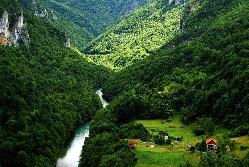 Tara River Canyon, Montenegro