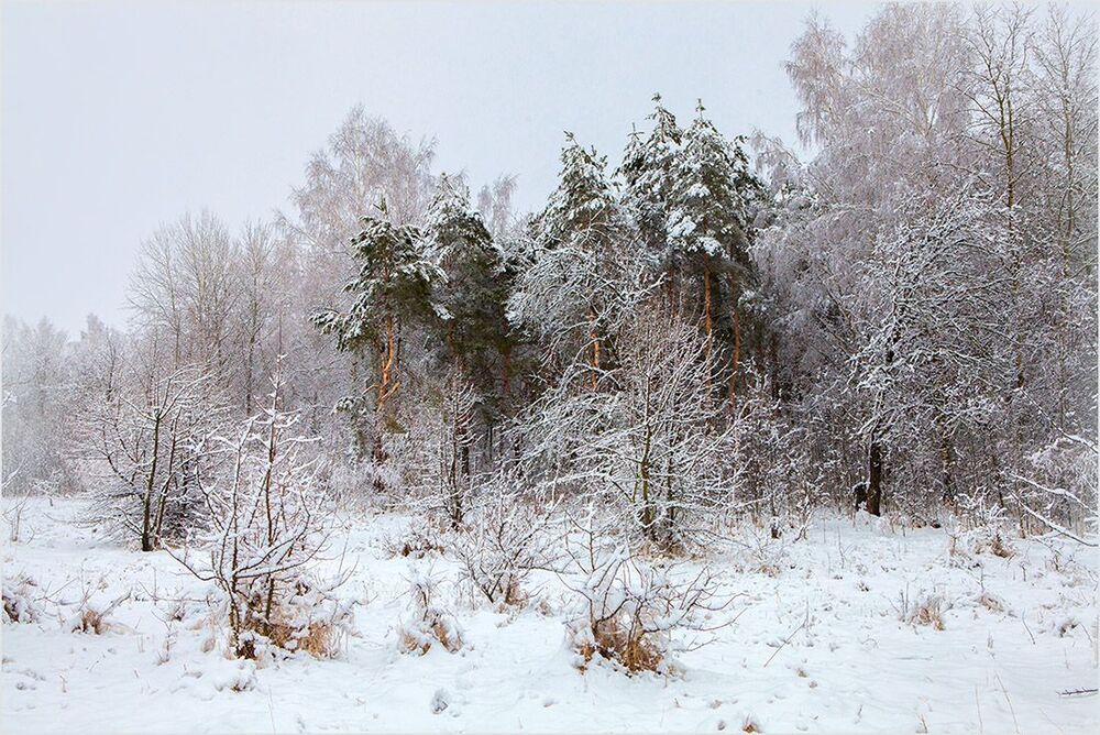 ПЕРВЫЙ СНЕГ