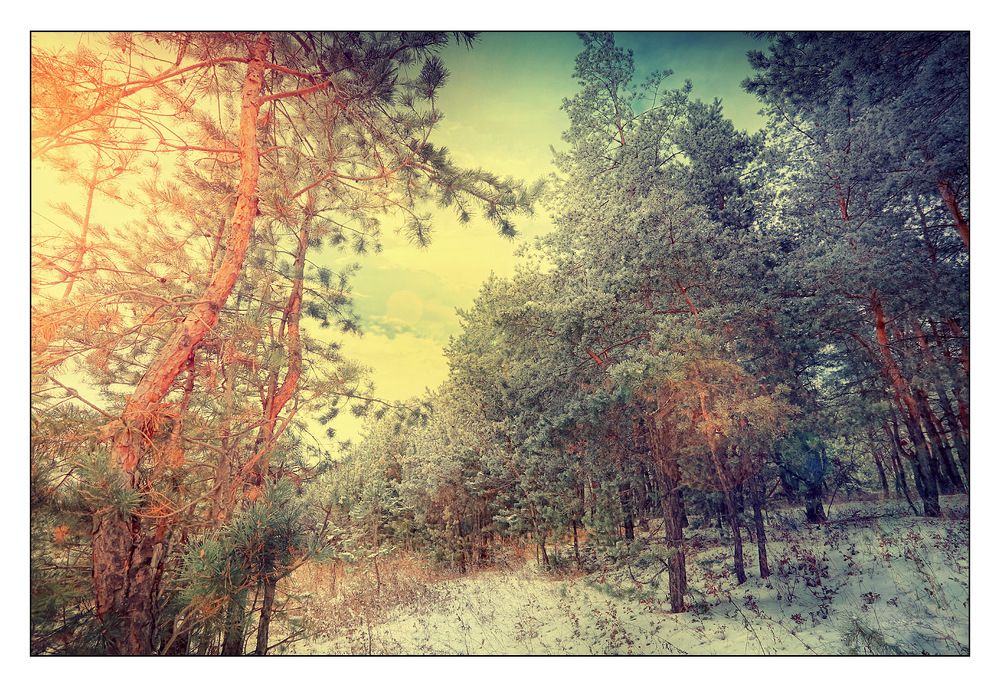 ---= december =---