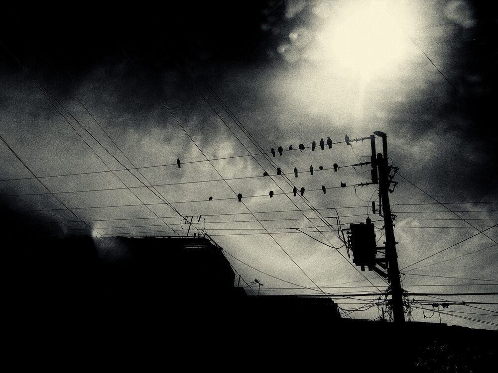 Photo 647072