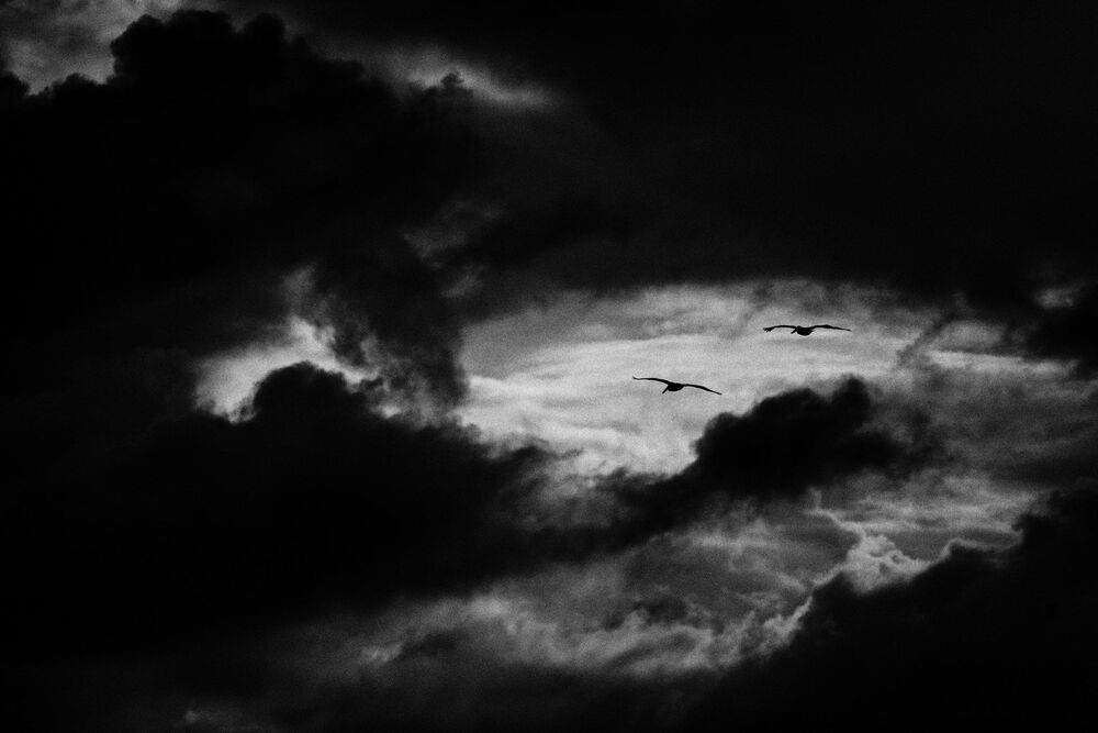 Photo 647073