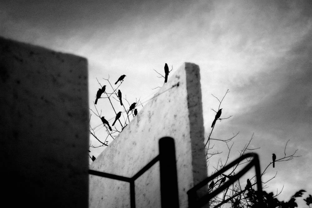Photo 647074
