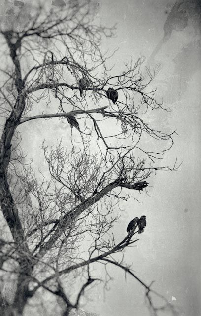 Photo 647075