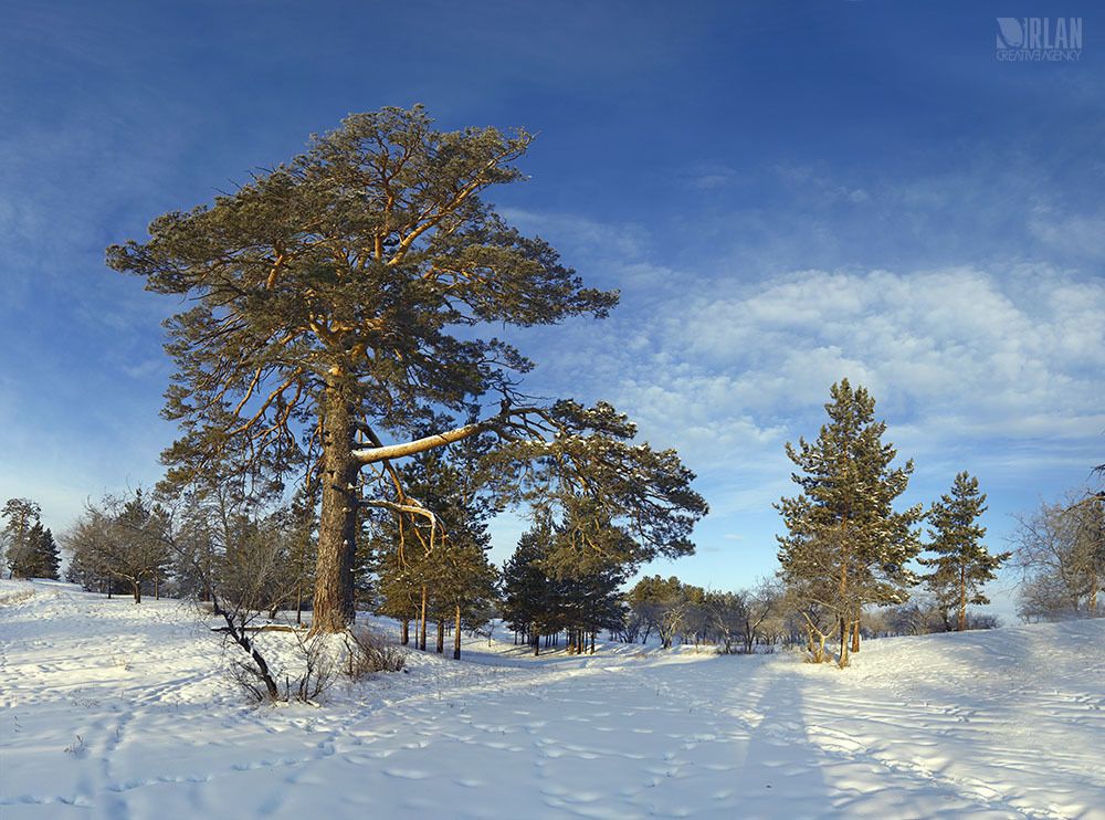 Mongolia, Selenge