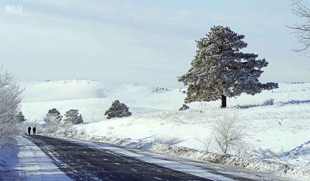 Mongolia, Selenge