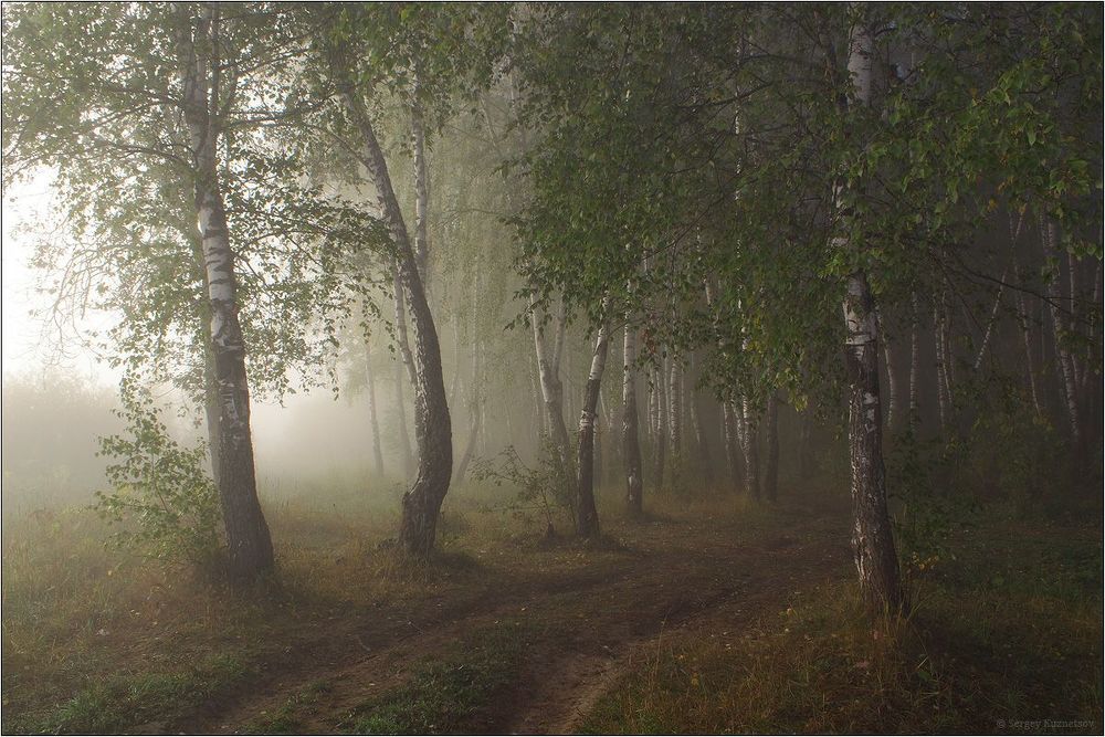 Дыхание природы