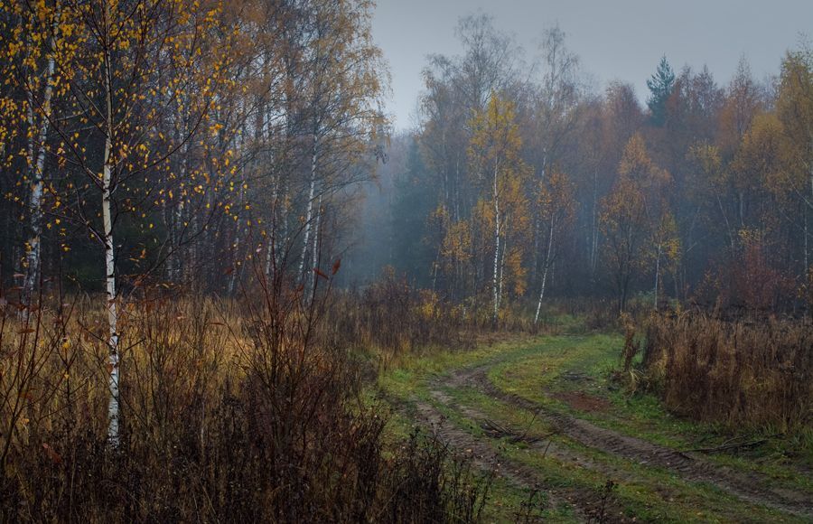 Photo 647988