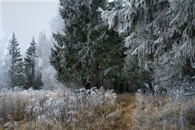 Photo 647989