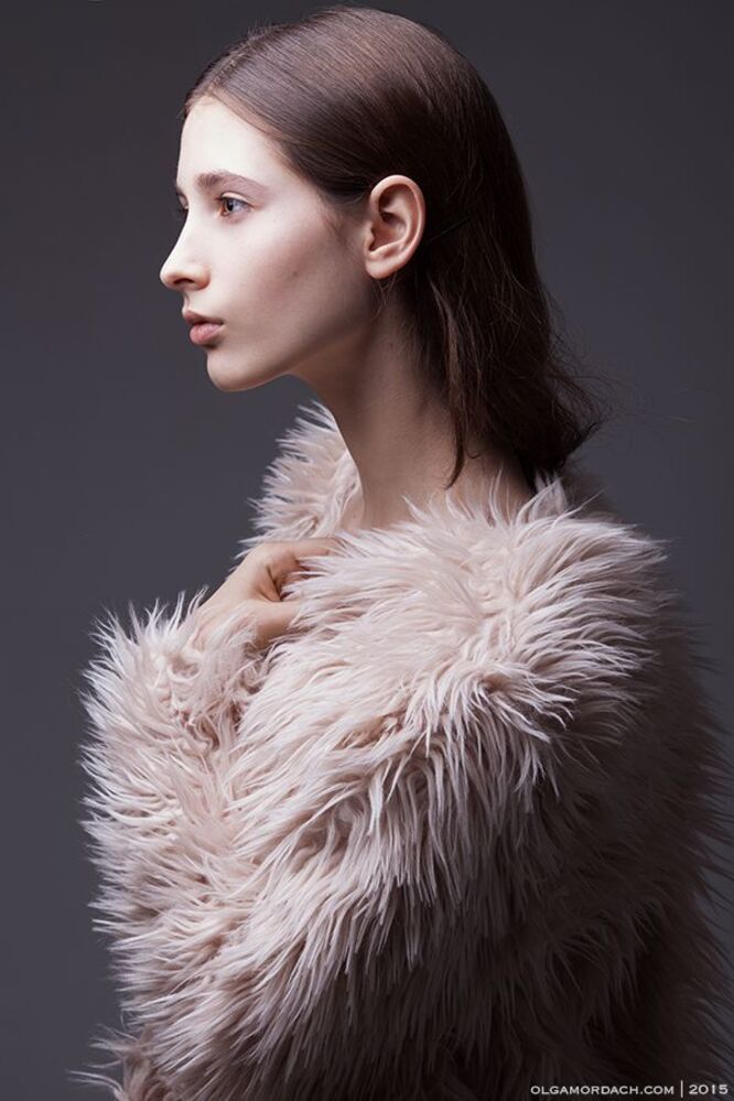 Sofia /VOS models