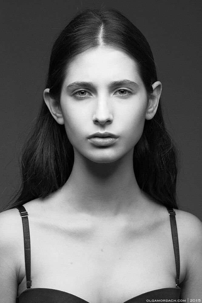 Sofia /VOS models
