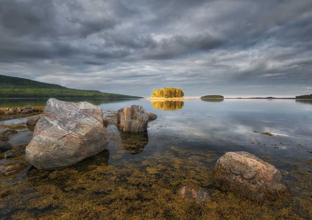 Кандалакшский заповедник.