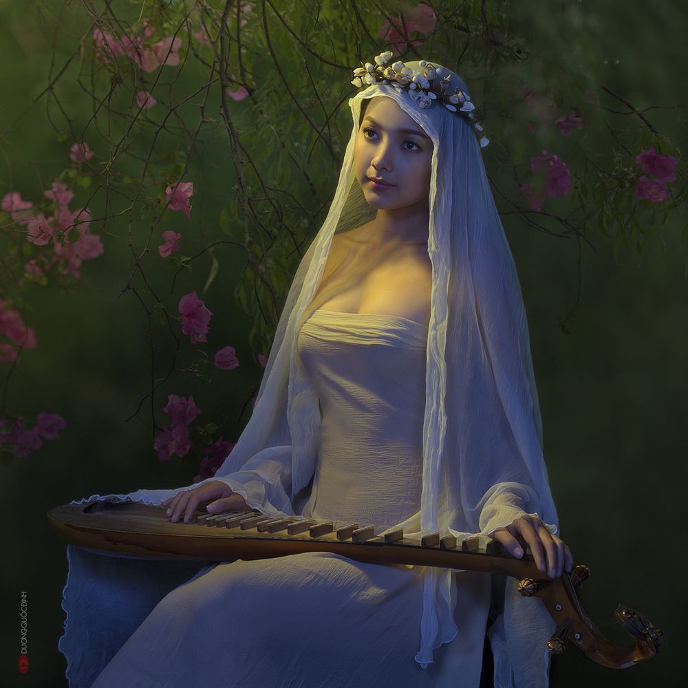 The dream of fairy