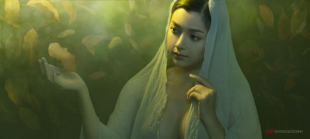 The dream of fairy