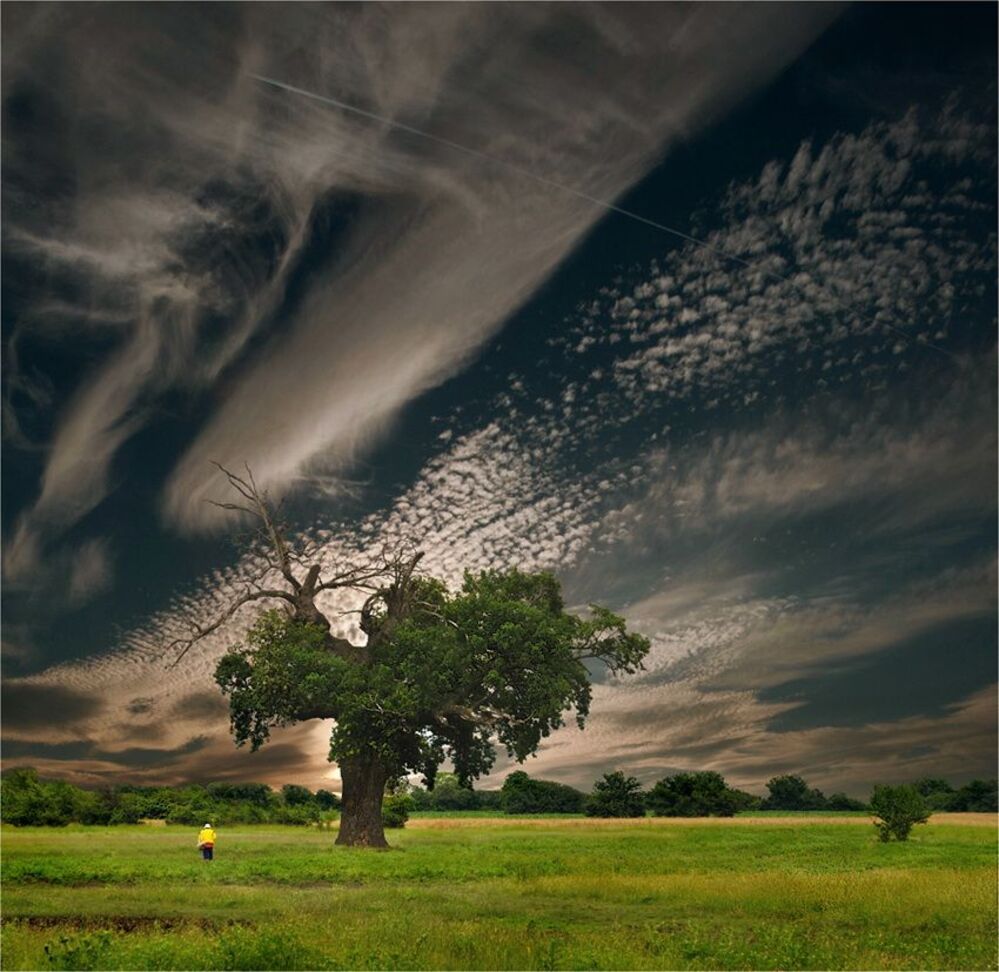 Touching the Heavens...