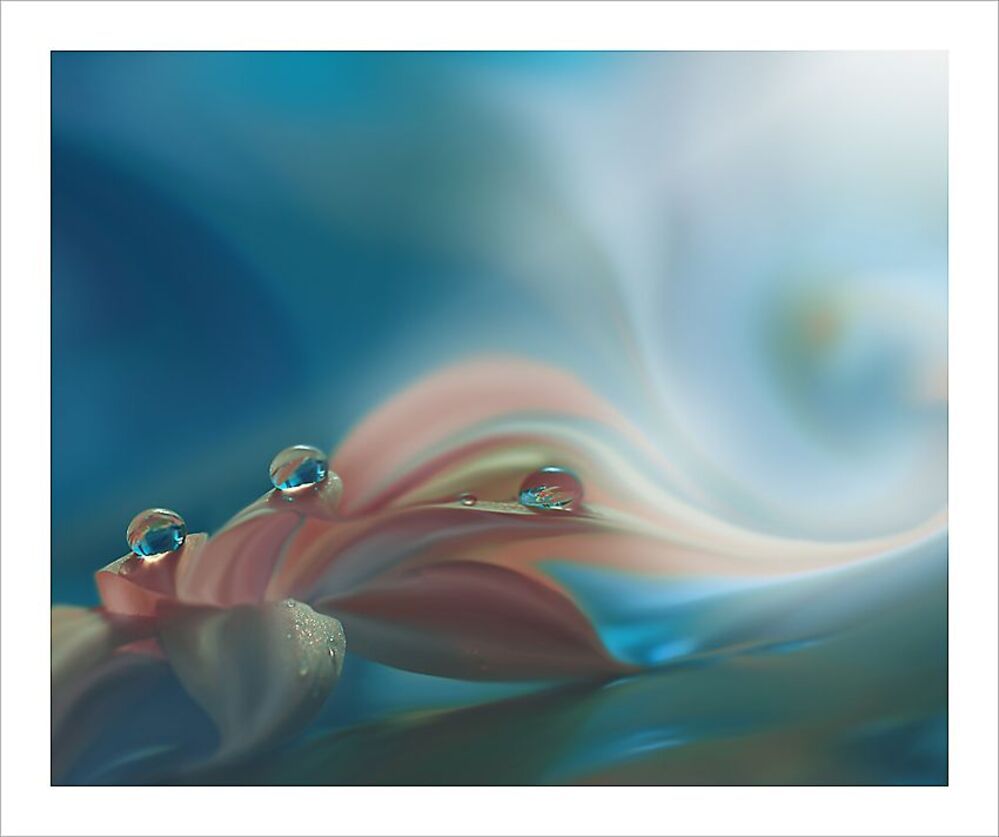 Harmony of Feelings...
