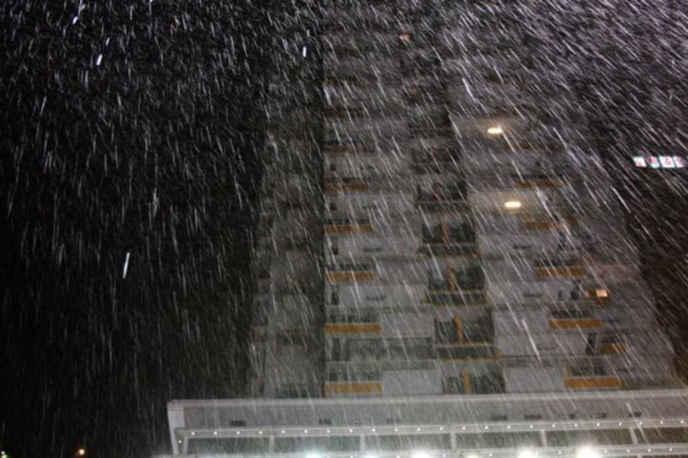 Photo 65482