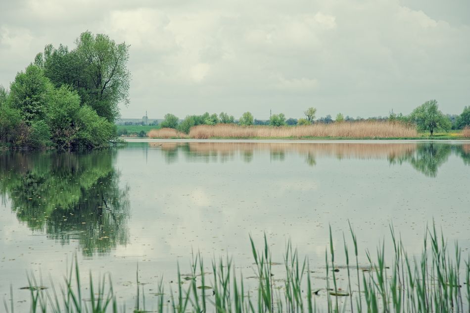 Photo 65616