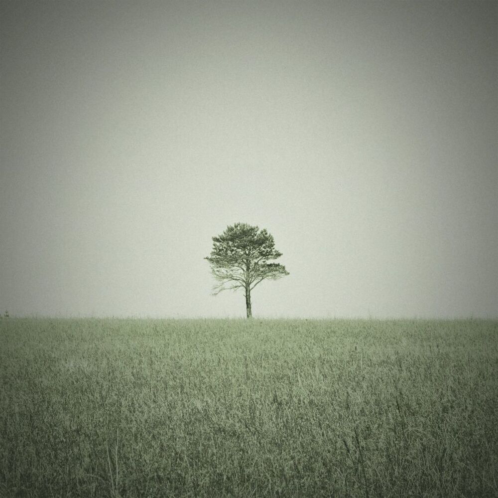 Photo 65735