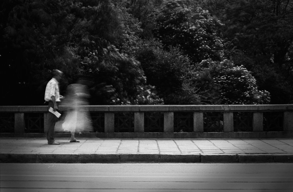 Photo 65781