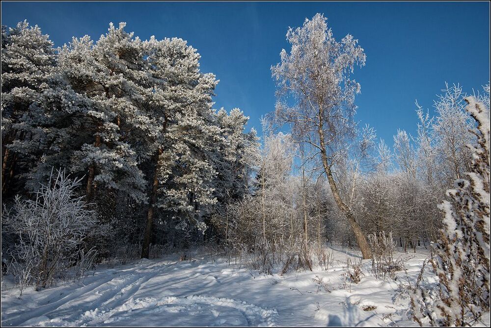 Однажды зимним утром