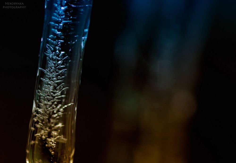 ice candy