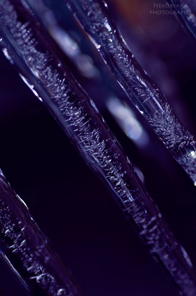 ice candy