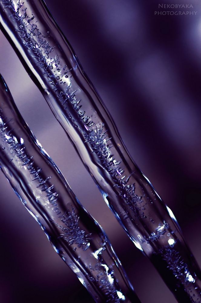 ice candy