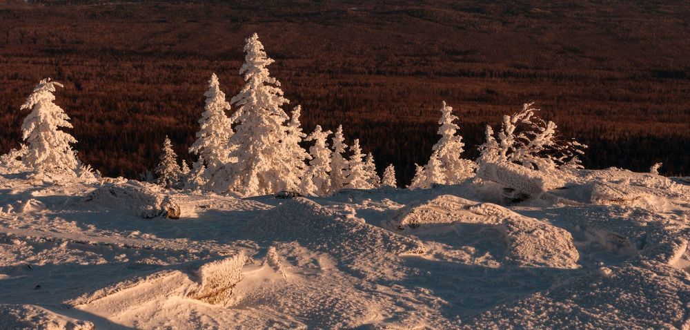 Сад камней и снежных скульптур