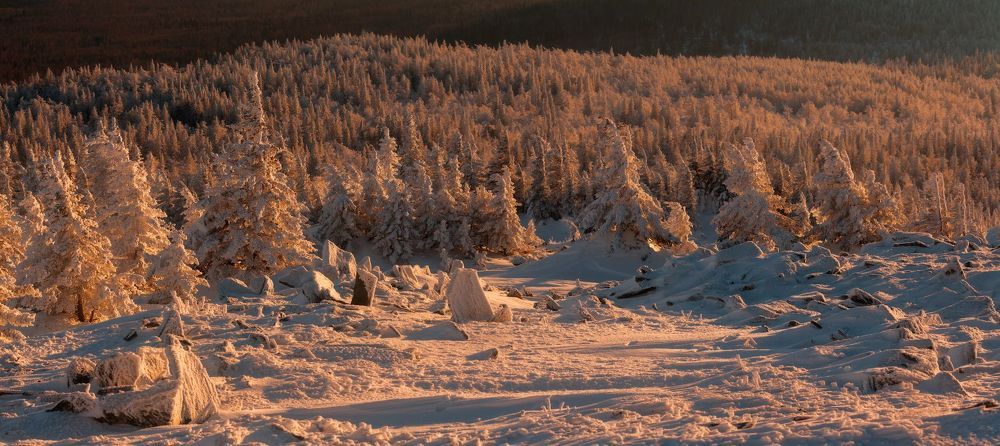 Сад камней и снежных скульптур
